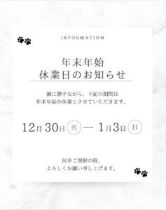 ❄️今年もあと2週間